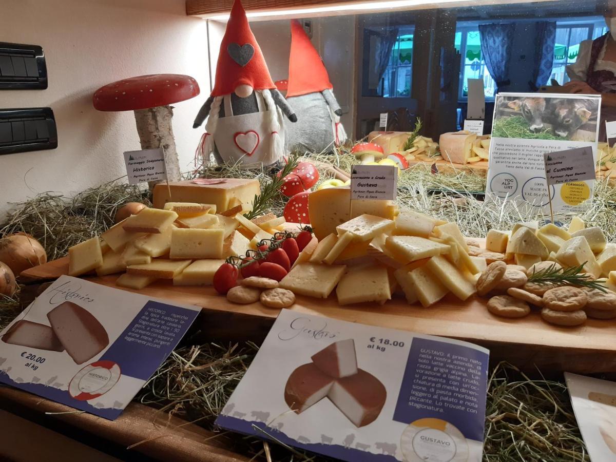 Hotel El Pilon Pozza di Fassa Dış mekan fotoğraf